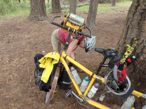 GDMBR: Terry, gathering lunch.